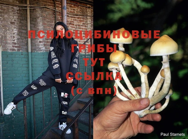 первитин Козловка