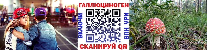 что такое   Поворино  Псилоцибиновые грибы ЛСД 