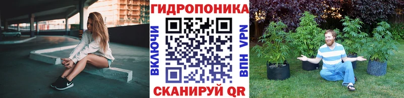 Бошки марихуана сатива  Поворино 